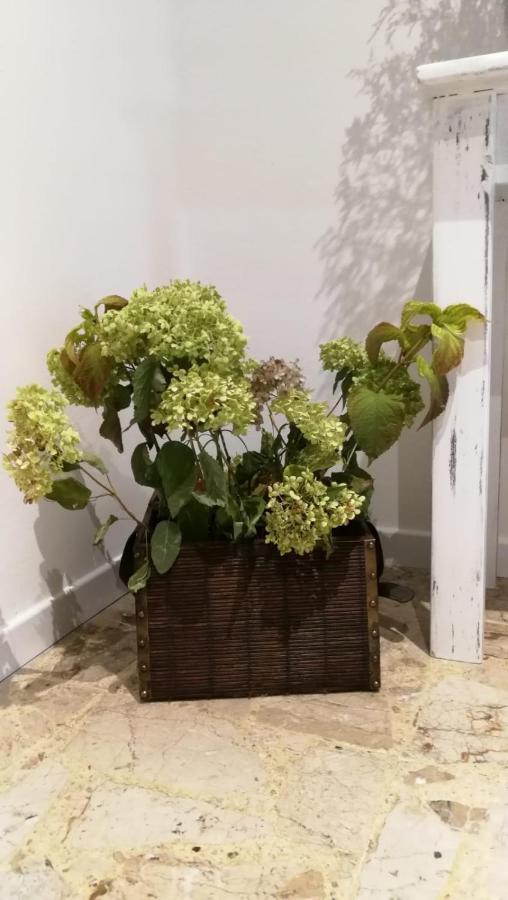Good Morning Shopping Bed & Breakfast Serravalle Scrivia Bagian luar foto